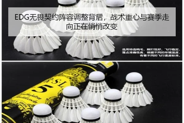EDG无畏契约阵容调整背后，战术重心与赛季走向正在悄悄改变 - dianjingniu